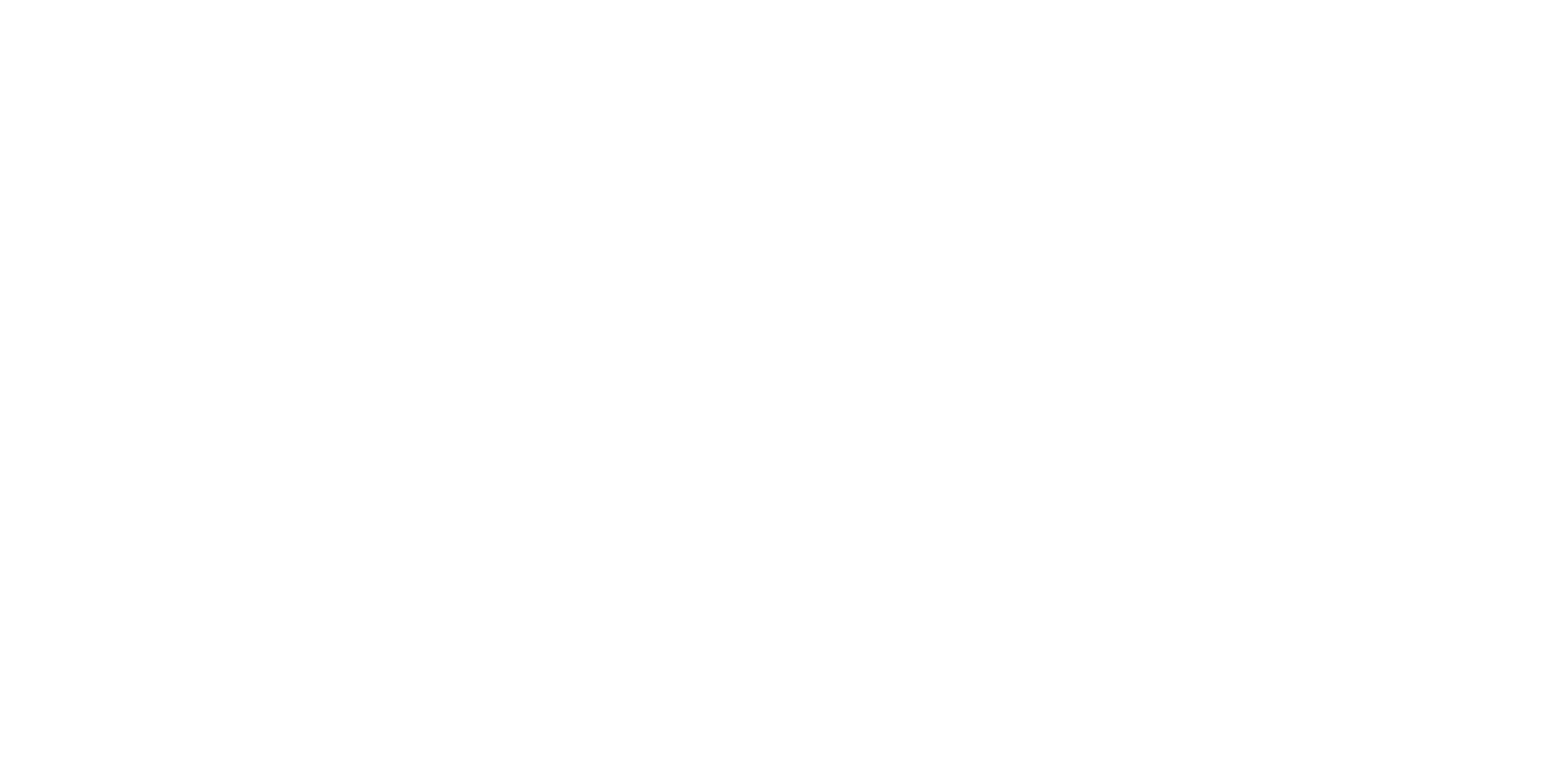 PNP Plastics Logo